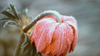 В Украине ударят морозы до -9 градусов