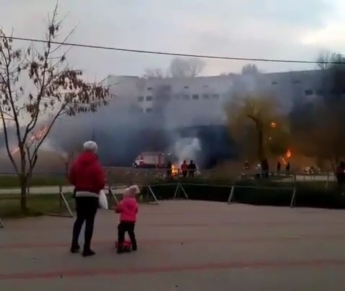 Спасатели прокомментировали пожар в парке Победы (Видео)