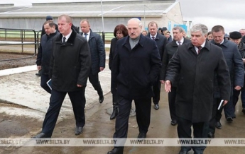 "Это же Освенцим": Лукашенко уволил губернатора после посещения коровника (видео)