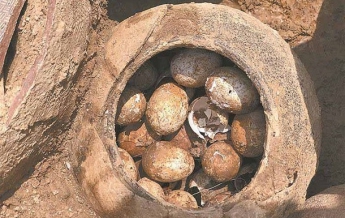Археологи нашли яйца возрастом 2,5 тысячи лет