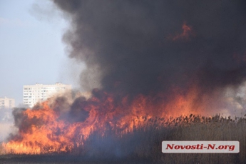 В Николаеве масштабный пожар: пламя выше 50 метров (видео, фото)