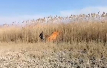"Шо, не горит?": в Запорожской области "на горячем" поймали поджигателя (Видео)