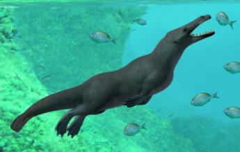 В Перу нашли останки четвероногого кита (фото)