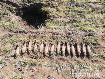 Житель Запорожской области во время работы в поле обнаружил 14 минометных мин (Фото)