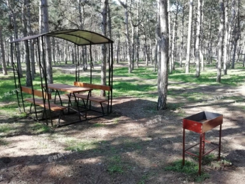 В Мелитополе в лесопарке появились беседки и мангалы для пикников (фото)