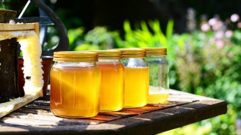 Мед с водой: раскрыты полезные свойства напитка