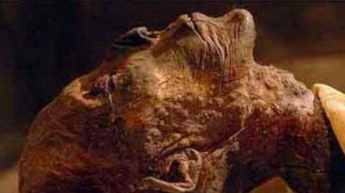 Разгадана тайна самой высокой в мире мумии