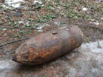 Рядом с селом под Мелитополем нашли 100-килограммовую бомбу