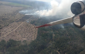 В Черниговской области горит лес