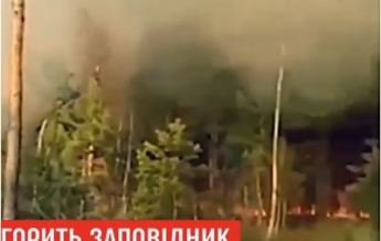 В Ровенской области горит заповедник (видео)
