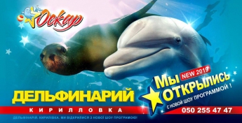 Дельфинарий в Кирилловке начнет работу с 27 апреля