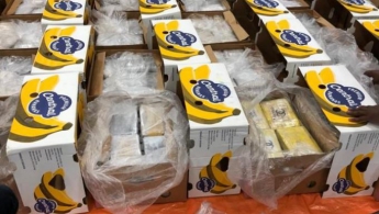 В Нидерландах среди бананов обнаружили партию кокаина весом в 1,6 тонны