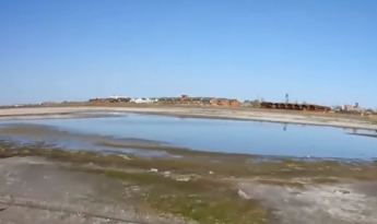 Молочный лиман превратился в болото (видео)