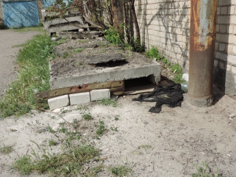 В Мелитополе заживо замуровали щенков (фото)