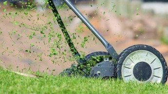 Почему людям нравится запах скошенной травы - ответ ученых