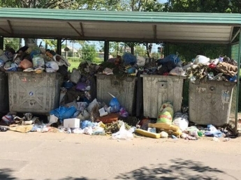 Двор многоэтажек на Новом Мелитополе утопает в мусоре (фото)