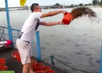 Він кинув у воду 23 відра корма для риб. Дивіться, що робили голодні риби (видео)