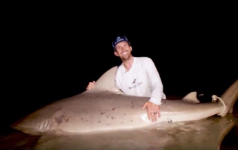 Рыбаки сняли схватку со 181-килограммовой акулой (видео)