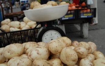 В Украине резко подешевел молодой картофель