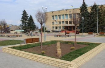 Житель Запорожской области получил три года тюрьмы за кражу цветов с клумбы