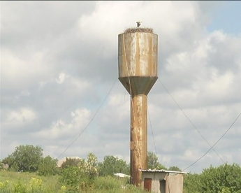 В Запорожской области много лет подряд на водонапорной башне аисты вьют гнездо (ФОТО)