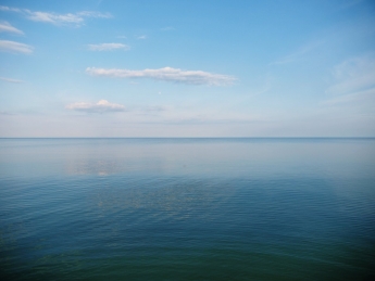 В Запорожской области трубят об экологической катастрофе для Азовского моря (Фото)