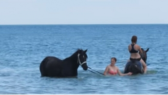 В Кирилловке купальный сезон открыли... кони (видео)