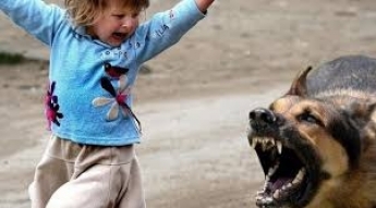 В Мелитополе разыскивают свидетельницу нападения собаки на ребенка