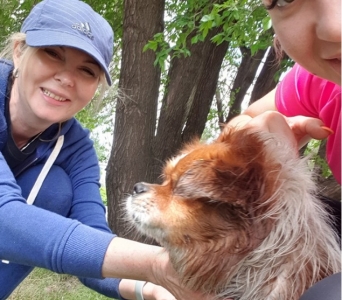 В Запорожье пес-путешественник выбрался из колодца и катался на маршрутке (Фото, видео)