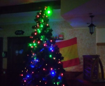 Курьезы. В мелитопольскоим кафе до сих пор не убрали новогоднюю елку (фото)