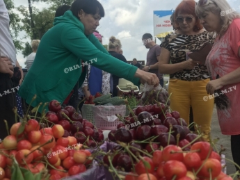 В Мелитополе городская власть организовала сезонный рынок для садоводов и огородников (видео)