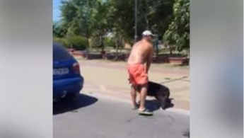 Собака не выдержала: в Кирилловке нелюди гнали на машине с привязанным псом