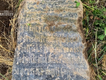 Возле старинной усадьбы под Мелитополем обнаружены надгробные плиты позапрошлого века (фото)