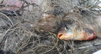 В Запорожской области задержали рыбаков-браконьеров (ФОТО)