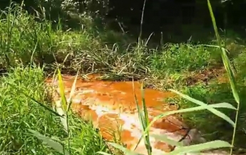 В Харькове река окрасилась в оранжевый цвет