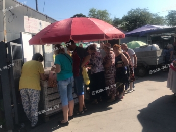 Москва завидует - в Мелитополе отменный абрикос продают по бросовой цене (фото)