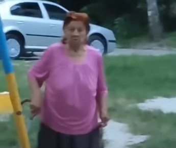 "В нас є свої діти": в тернопільському дворі бабуся штурханами зігнала підлітків з гойдалок (відео)