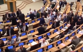 Грузинские депутаты подрались из-за оппозиции (видео)