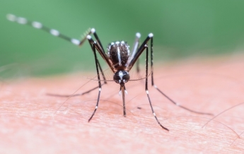 В Полтавской области зафиксирован случай малярии