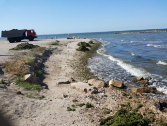 Пляжи запорожского курорта заполонили зловонные водоросли (ФОТО)