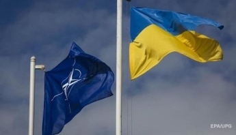 В Украине презентовали детскую игру о НАТО (видео)