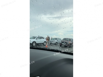 По дороге на Кирилловку пробка из-за ДТП возле оленя (фото, видео)