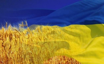 Сельское население Украины за 10 лет сократилось на 16%