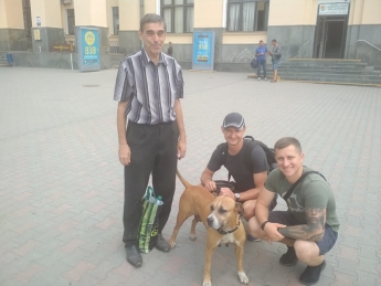 Группа волонтеров с собакой искали мужчину, пропавшего в Вольнянском районе (фото)