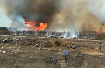 Под Мелитополем разгорелся масштабный пожар (видео)