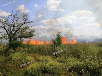 Под Мелитополем масштабный пожар (видео, фото)