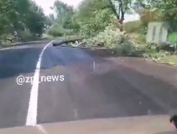 Под Запорожьем дорога "усыпана" деревьями после бури (Видео)