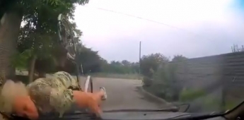В Запорожье бабушка-велосипедистка влетела в полицейское авто (Видео)
