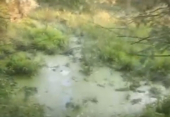 В этом потом купаются - в сети показали реки с фекалиями, которые сбрасывают в Молочный лиман (обновлено)