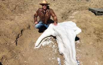Студент на первых раскопках нашел череп динозавра
